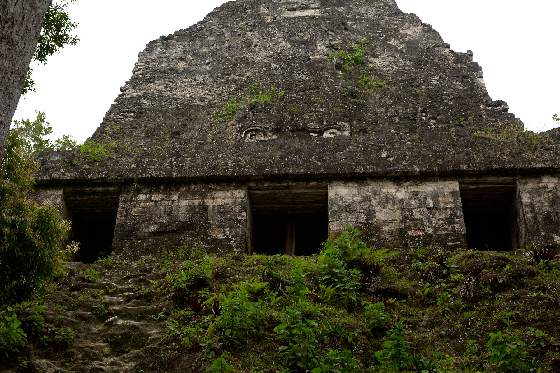 Tikal // Guatemala