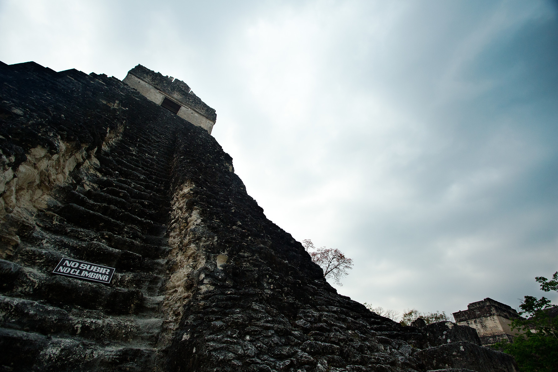 Tikal // Guatemala