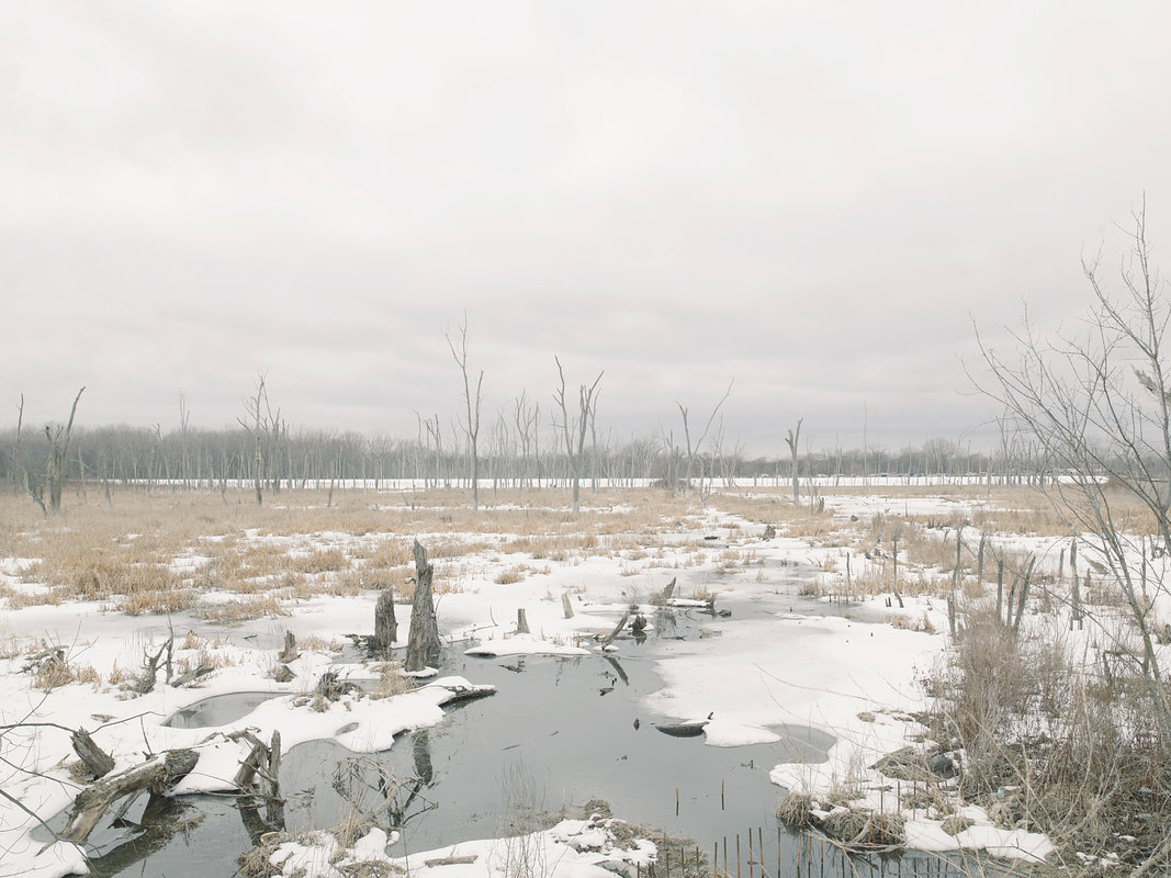 Flood plain