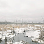 Flood plain