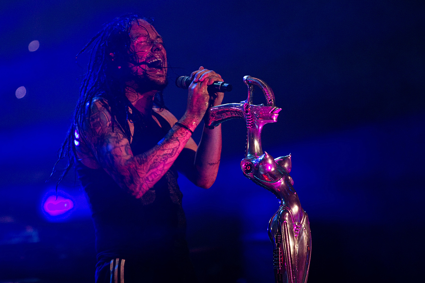Korn